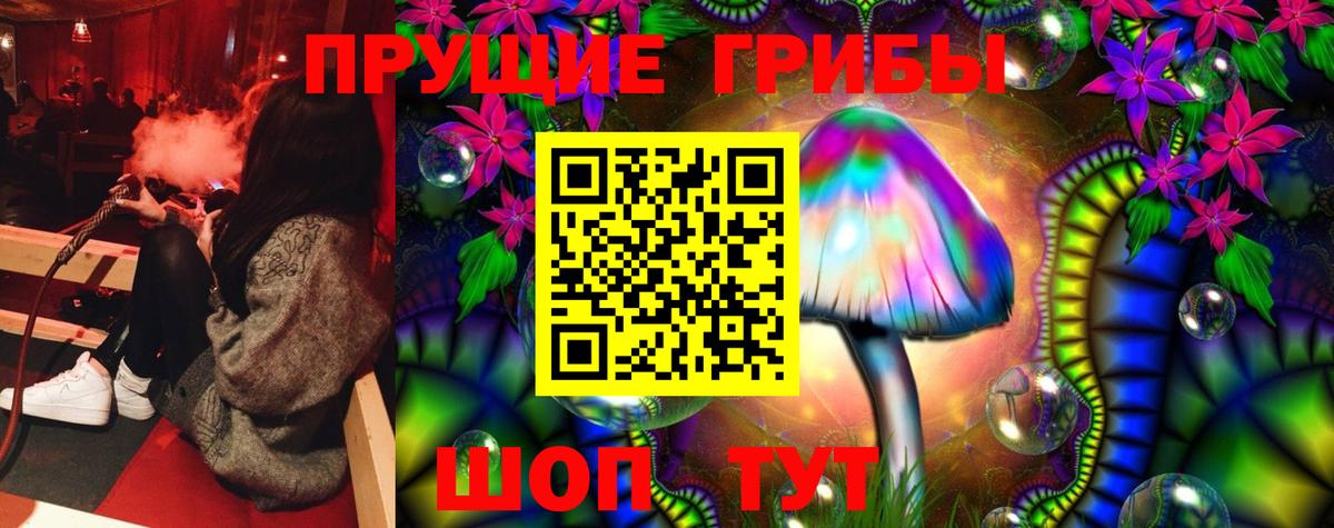 Озёрск  Псилоцибиновые грибы GOLDEN TEACHER  Вход с VPN  Псилоцибиновые грибы Magic Shrooms 