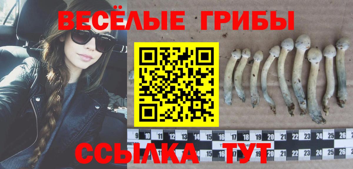 Псилоцибиновые грибы Psilocybe Озёрск